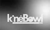 Kinebowl 100 pixels